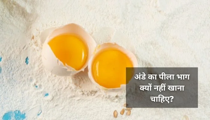 अंडे का पीला भाग क्यों नहीं खाना चाहिए? | Why Should Not Eat Egg Yolk In Hindi