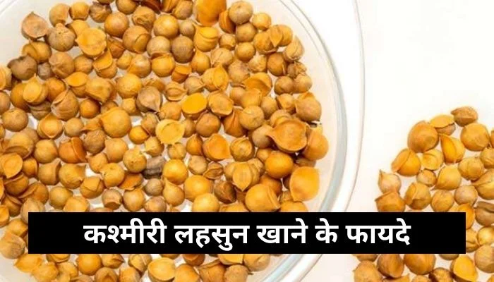 कश्मीरी लहसुन खाने के फायदे | Kashmiri Lahsun Ke Fayde In Hindi