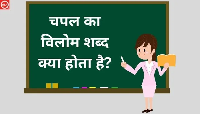चपल का विलोम शब्द क्या होता है