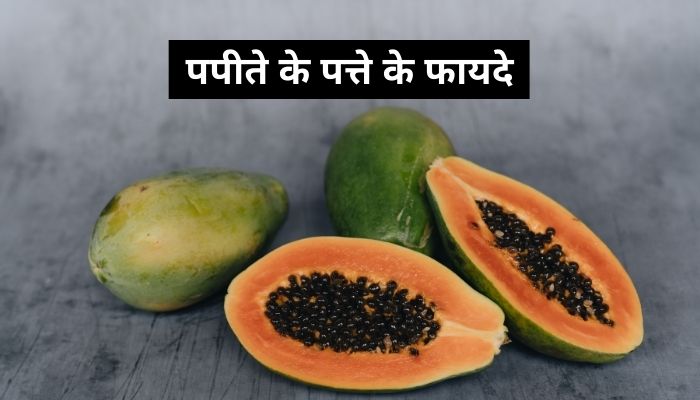 पपीते के पत्ते के फायदे | Papita Ke Patte Ke Fayde