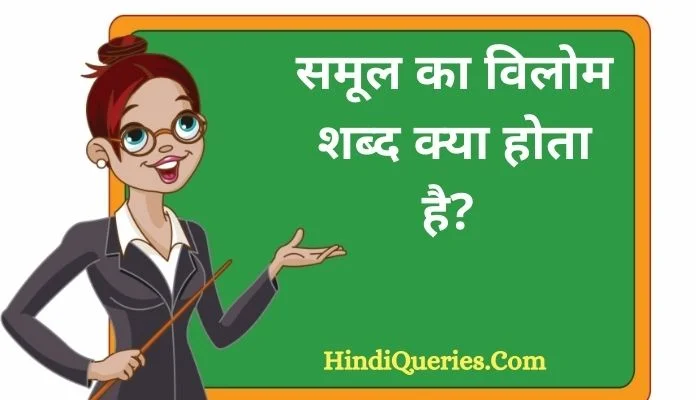 समूल का विलोम शब्द क्या होता है? | Samool Ka Vilom Shabd in Hindi