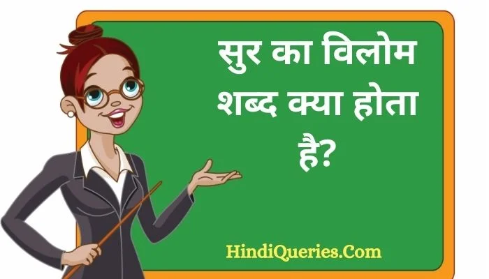 सुर का विलोम शब्द क्या होता है? | Sur Ka Vilom Shabd in Hindi