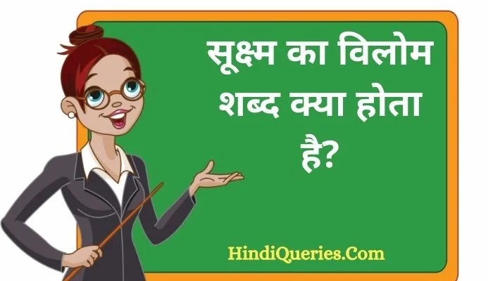 सूक्ष्म का विलोम शब्द क्या होता है? | Sukshm Ka Vilom Shabd in Hindi