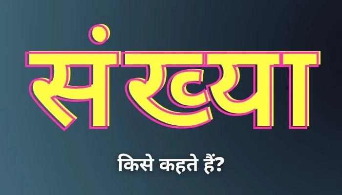 Sankhya Kise Kahate Hain: संख्या किसे कहते हैं?