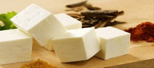 Soya Paneer Business