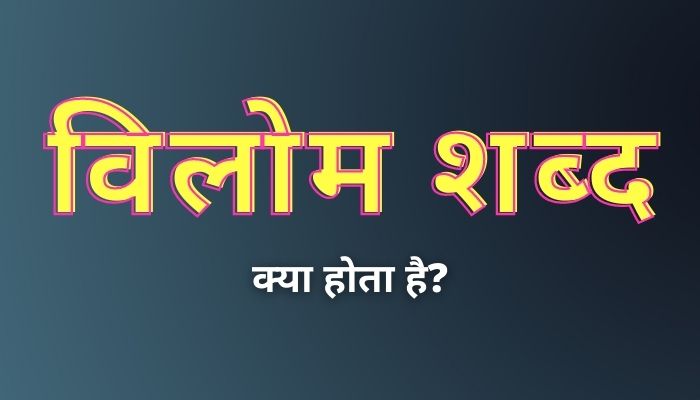 Vilom Shabd Kise Kahate Hain: विलोम शब्द किसे कहते हैं?