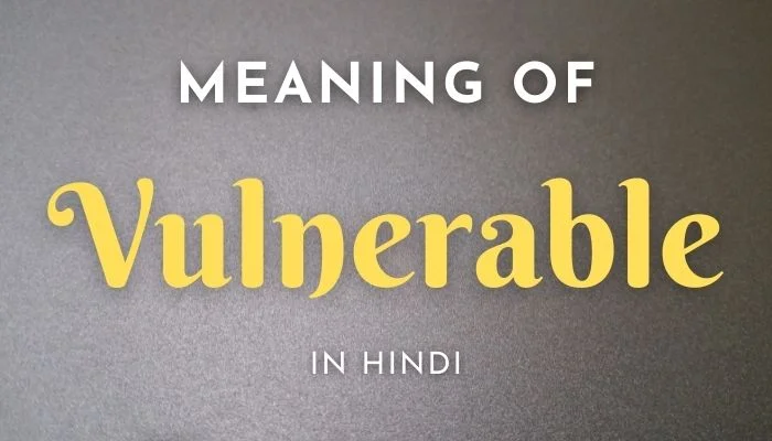 Vulnerable Meaning In Hindi | Vulnerable का मतलब क्या होता हैं?