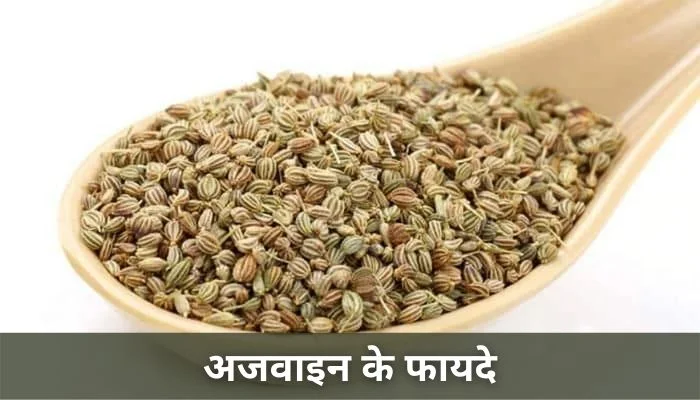 अजवाइन के फायदे | Ajwain Ke Fayde
