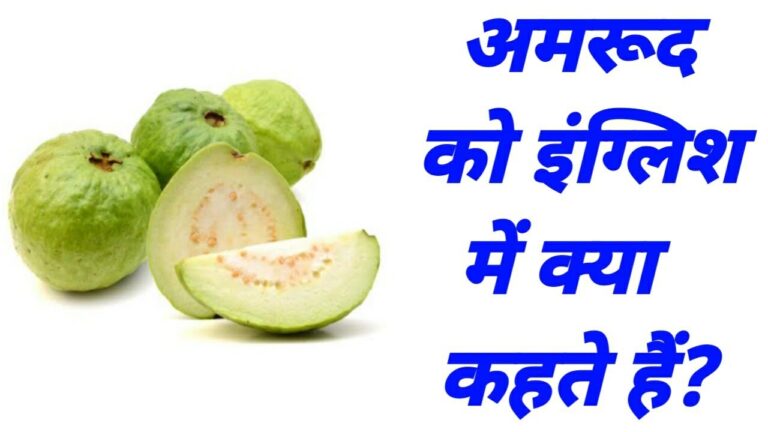 अमरूद को इंग्लिश में क्या कहते हैं? | Amrud ko english mein kya kahate hain