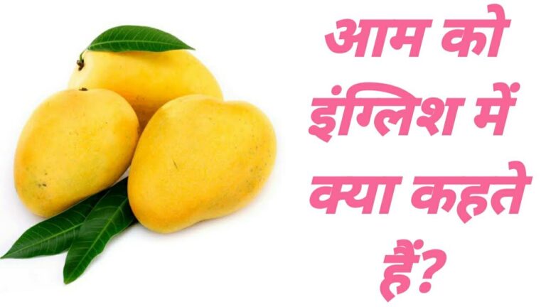 आम को इंग्लिश में क्या कहते हैं? | Aam ko english mein kya kahate hain