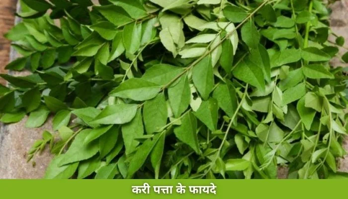 करी पत्ता के फायदे | Kari Patta Ke Fayde