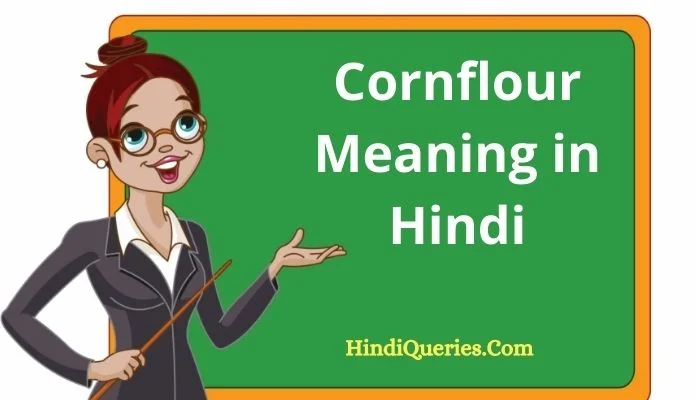 कॉर्नफ्लोर मीनिंग इन हिंदी | Cornflour Meaning in Hindi