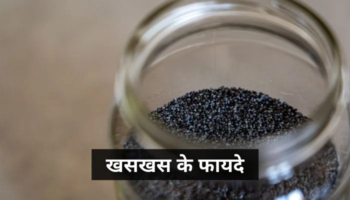 खसखस के फायदे | Khas Khas Ke Fayde