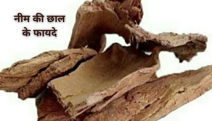 नीम की छाल के फायदे | Benefits of Neem Bark In Hindi