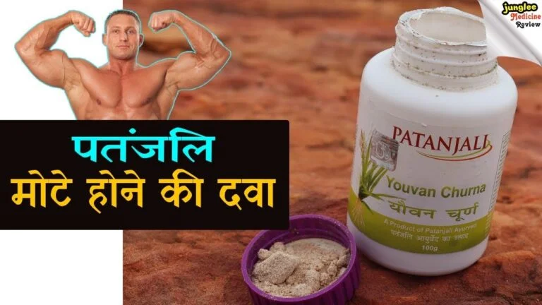 पतंजलि मोटा होने की दवा हिंदी