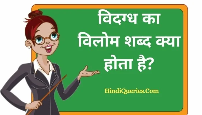 विदग्ध का विलोम शब्द क्या होता है? | Vidagdh Ka Vilom Shabd in Hindi