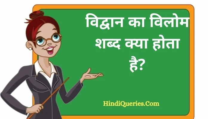विद्वान का विलोम शब्द क्या होता है? | Vidwan Ka Vilom Shabd in Hindi