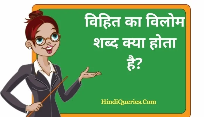 विहित का विलोम शब्द क्या होता है? | Vihit Ka Vilom Shabd in Hindi