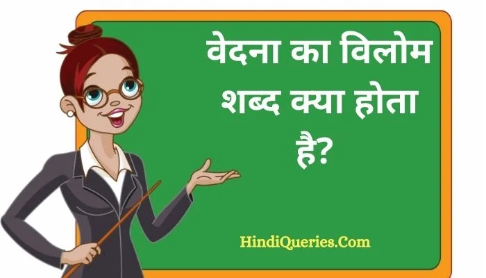 वेदना का विलोम शब्द क्या होता है? | Vedana Ka Vilom Shabd in Hindi