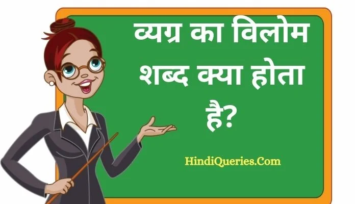 व्यग्र का विलोम शब्द क्या होता है? | Vyagra Ka Vilom Shabd in Hindi