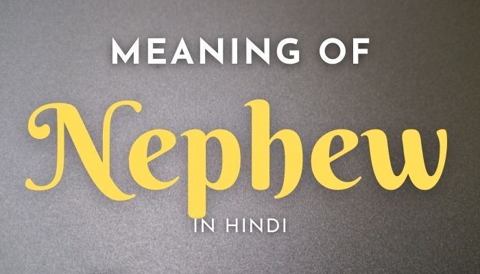 Nephew Meaning In Hindi | Nephew का मतलब क्या होता हैं?