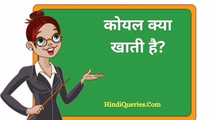 कोयल क्या खाती है Koyal kya khati hai