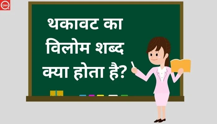 थकावट का विलोम शब्द क्या होता है?