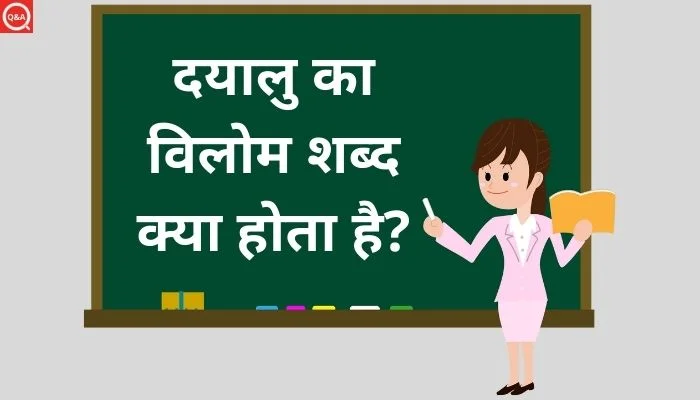 दयालु का विलोम शब्द क्या होता है? | Dayalu Ka Vilom Shabd in Hindi