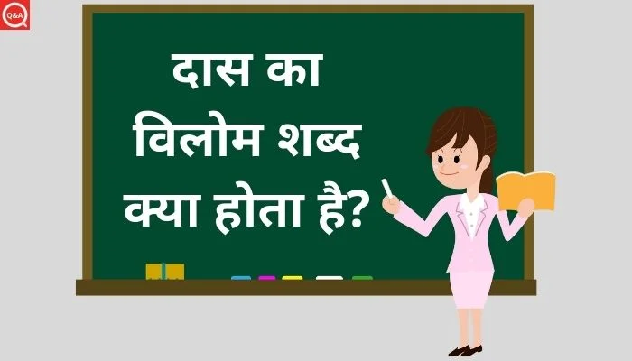 दास का विलोम शब्द क्या होता है?
