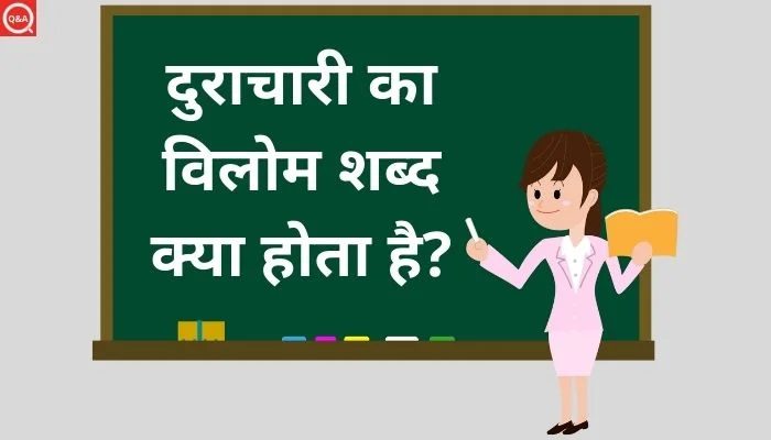 दुराचारी का विलोम शब्द क्या होता है?