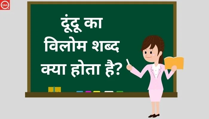 दूंदू का विलोम शब्द क्या होता है?
