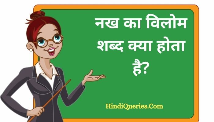 नख का विलोम शब्द क्या होता है? | Nakh Ka Vilom Shabd in Hindi