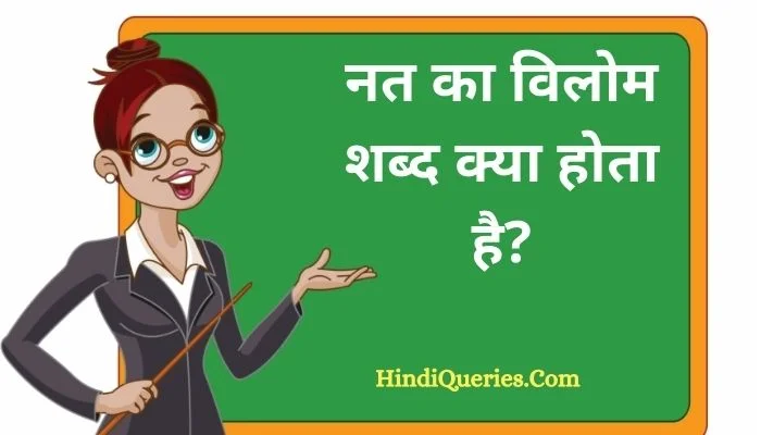 नत का विलोम शब्द क्या होता है? | Nat Ka Vilom Shabd in Hindi