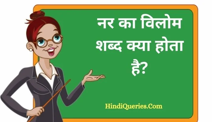 नर का विलोम शब्द क्या होता है? | Nar Ka Vilom Shabd in Hindi