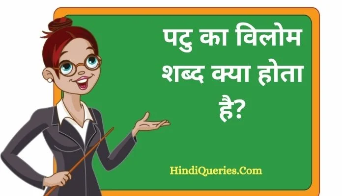 पटु का विलोम शब्द क्या होता है? | Patu Ka Vilom Shabd in Hindi