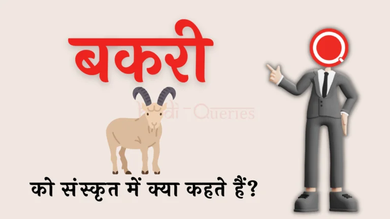 बकरी को संस्कृत में क्या कहते हैं? | Bakri Ko Sanskrit Mein Kya Kahate Hain