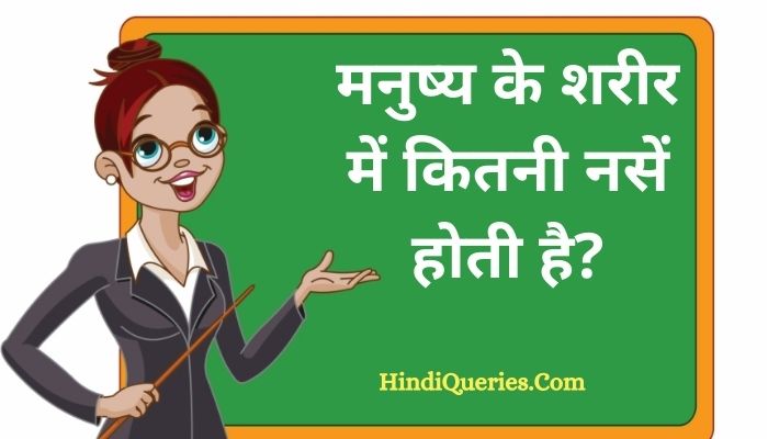 मनुष्य के शरीर में कितनी नसें होती है? | Manushya ke sharir mein kitni nasen hoti hai