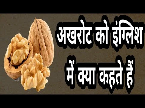 अखरोट को इंग्लिश में क्या कहते हैं? | Akhrot ko english mein kya kahate hain