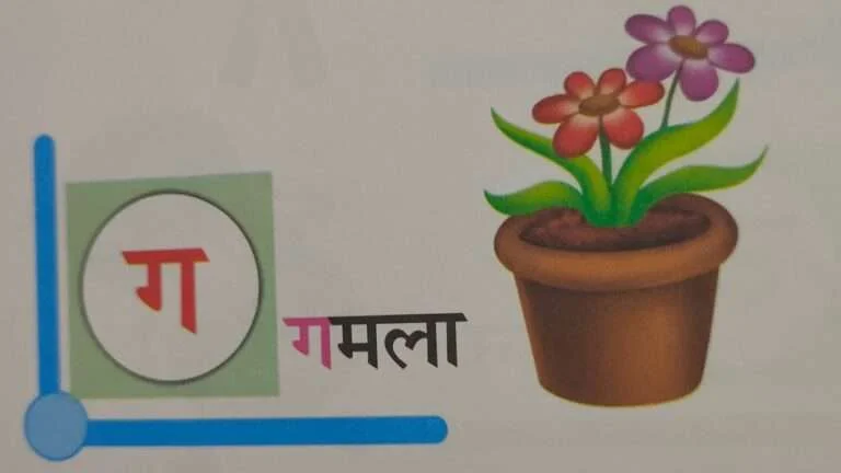 गमले को इंग्लिश में क्या कहते हैं? | Gamle ko english mein kya kahate hain