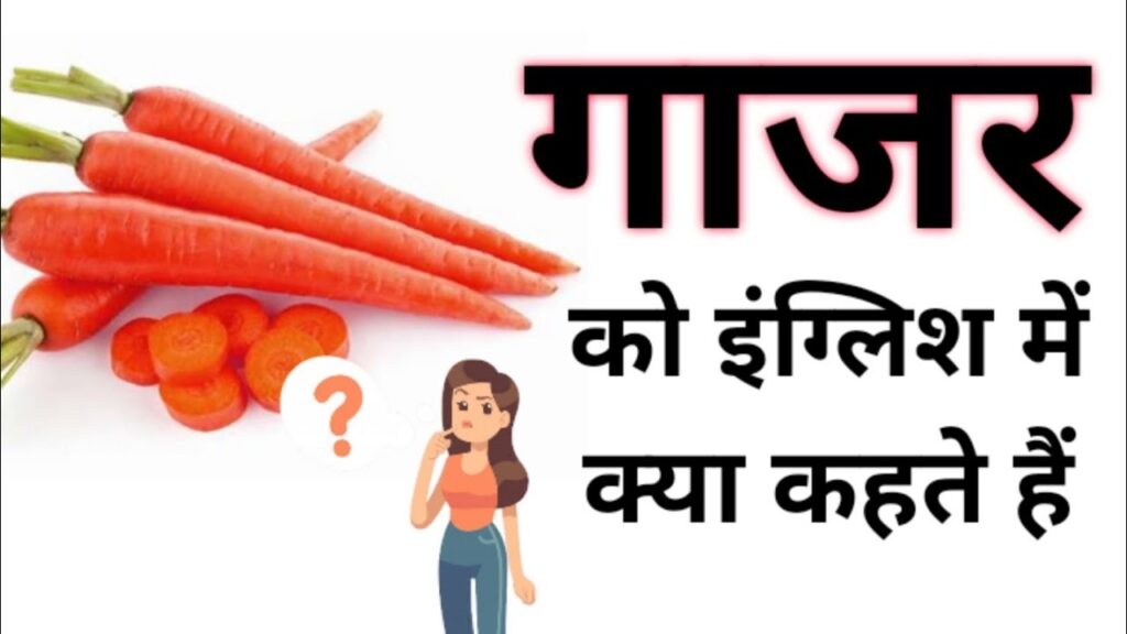 गाजर को इंग्लिश में क्या कहते हैं? | Gajar ko english mein kya kahate hain
