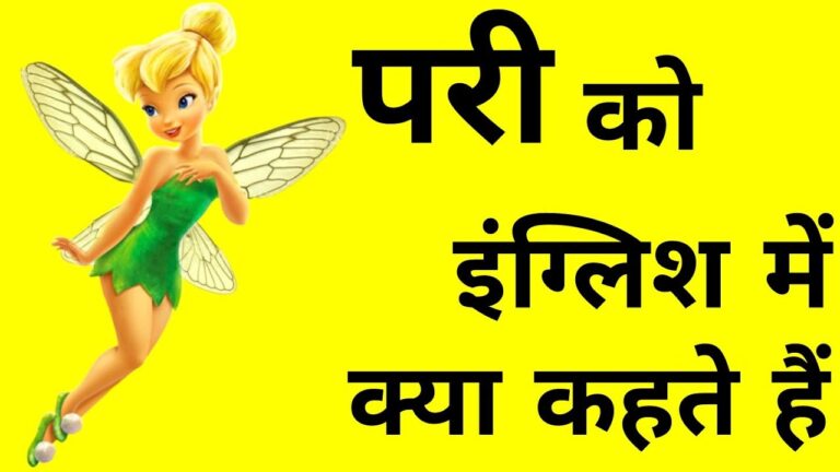 परी को इंग्लिश में क्या कहते हैं? | Pari ko english mein kya kahate hain