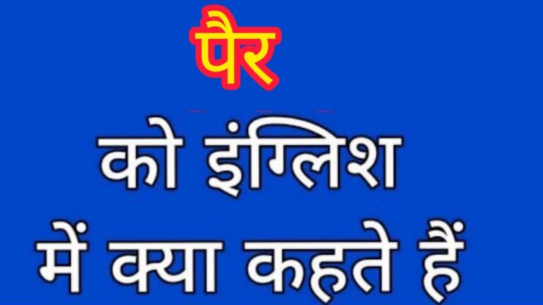 पैर को इंग्लिश में क्या कहते हैं? | Pair ko english mein kya kahate hain