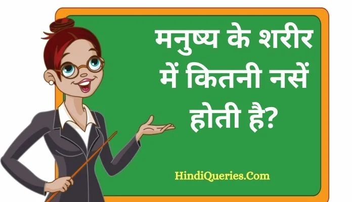मनुष्य के शरीर में कितनी नसें होती है? | Manushya ke sharir mein kitni nasen hoti hai