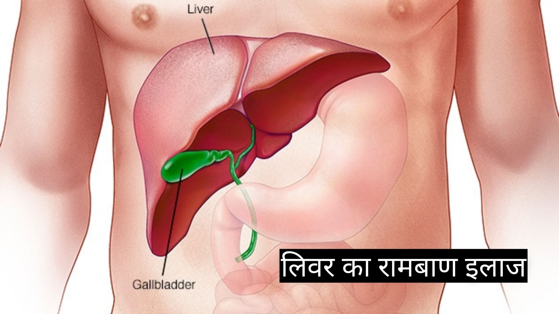 लिवर का रामबाण इलाज | Liver Ka Ramban Ilaaj