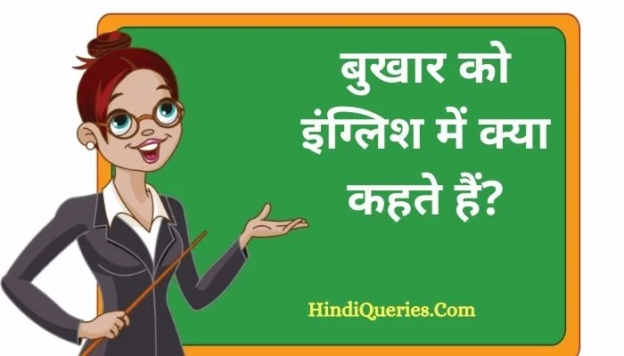 बुखार को इंग्लिश में क्या कहते हैं? | Bukhar ko english mein kya kahate hain