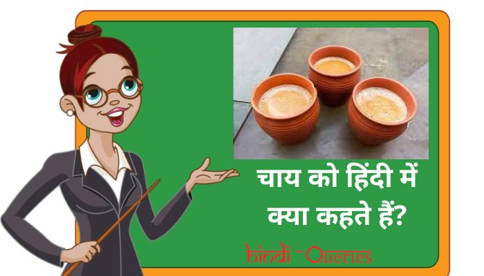 चाय को हिंदी में क्या कहते हैं? | Chai ko hindi mein kya kahate hain
