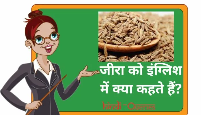 जीरा को इंग्लिश में क्या कहते हैं? | Jeera ko english mein kya kahate hain
