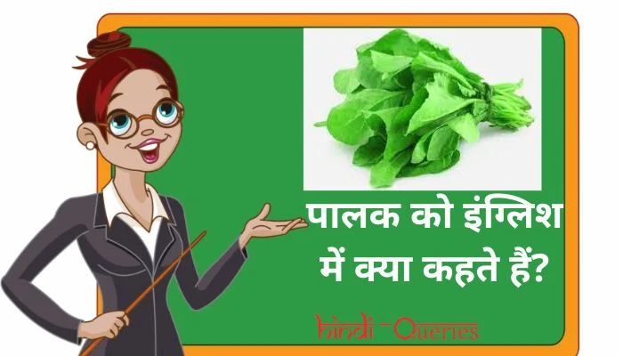 पालक को इंग्लिश में क्या कहते हैं Palak ko english mein kya kahate hain