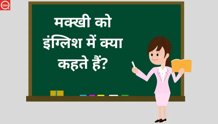 मक्खी को इंग्लिश में क्या कहते हैं? | Makkhi Ko English Mein Kya Kahate Hain
