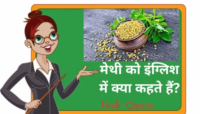 मेथी को इंग्लिश में क्या कहते हैं? | Methi ko english mein kya kahate hain